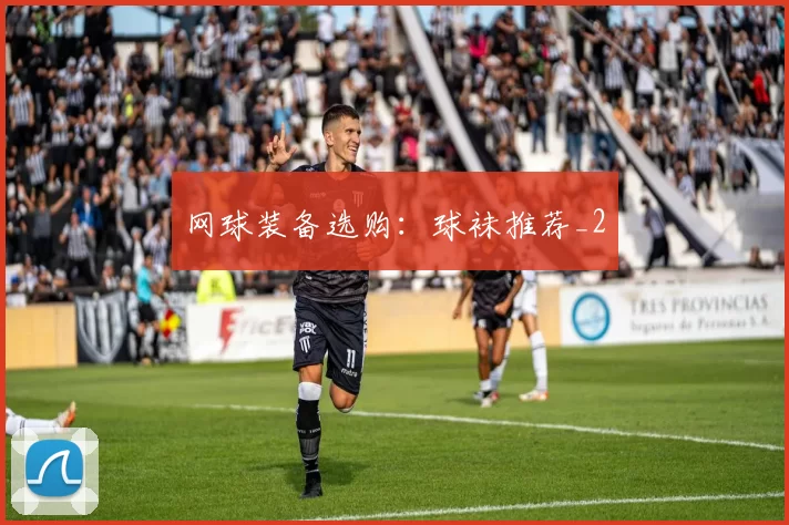 网球装备选购：球袜推荐_2