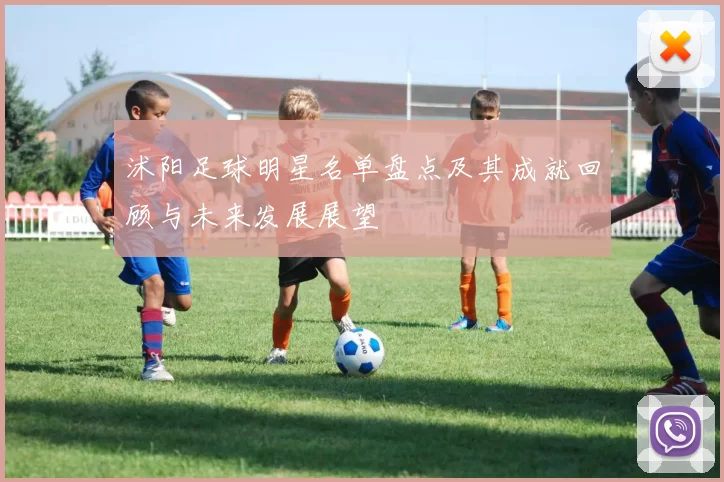 沭阳足球明星名单盘点及其成就回顾与未来发展展望