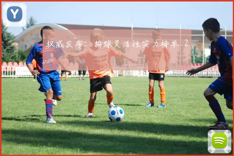 权威发布：排球灵活性实力榜单_2