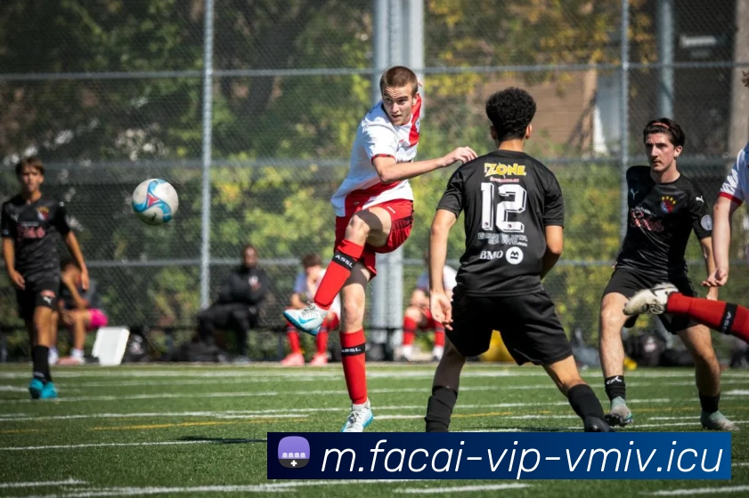 乐鱼体育注册平台生态图