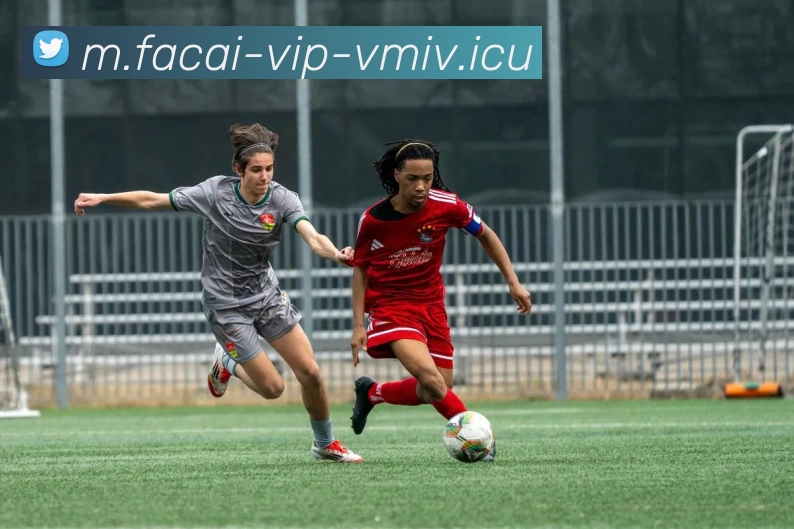 乐鱼体育注册APP 封面图